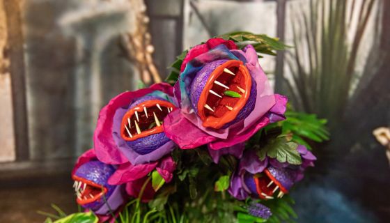 Выставка «Тайны Хогвартс»