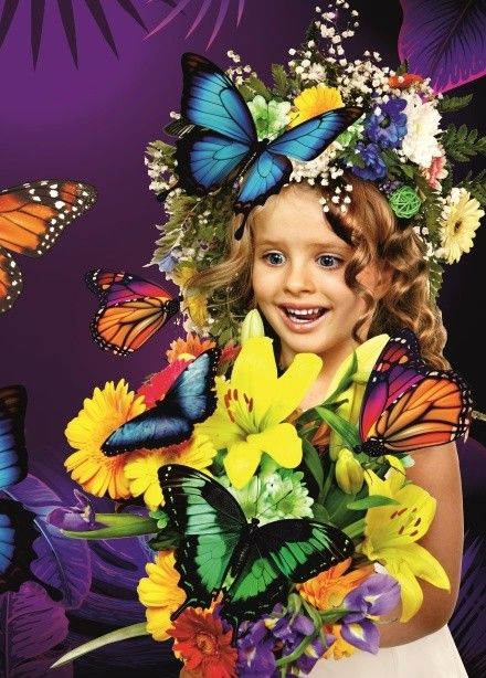 Выставка живых тропических бабочек «Айлант»